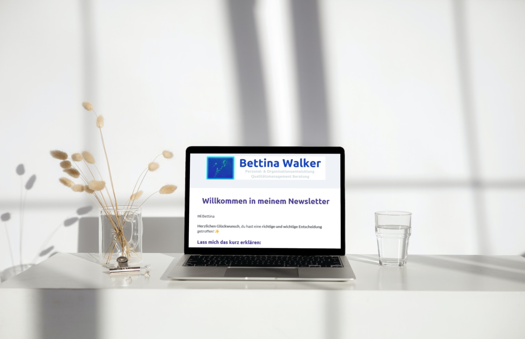 NL Mockup Laptop Bildchirm - kpl